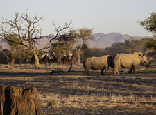 Namibia-Namibia-Sambulenni Horse Safari